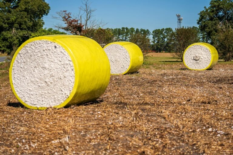 Cotton Bails